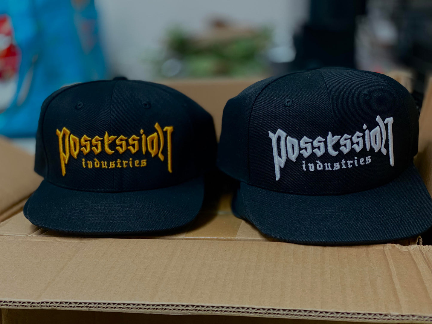 Possession Snapback Hat